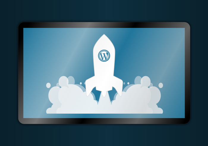 教程解析“手机十三道有啥漏洞没”(原来确实是有插件)