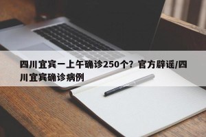四川宜宾一上午确诊250个？官方辟谣/四川宜宾确诊病例